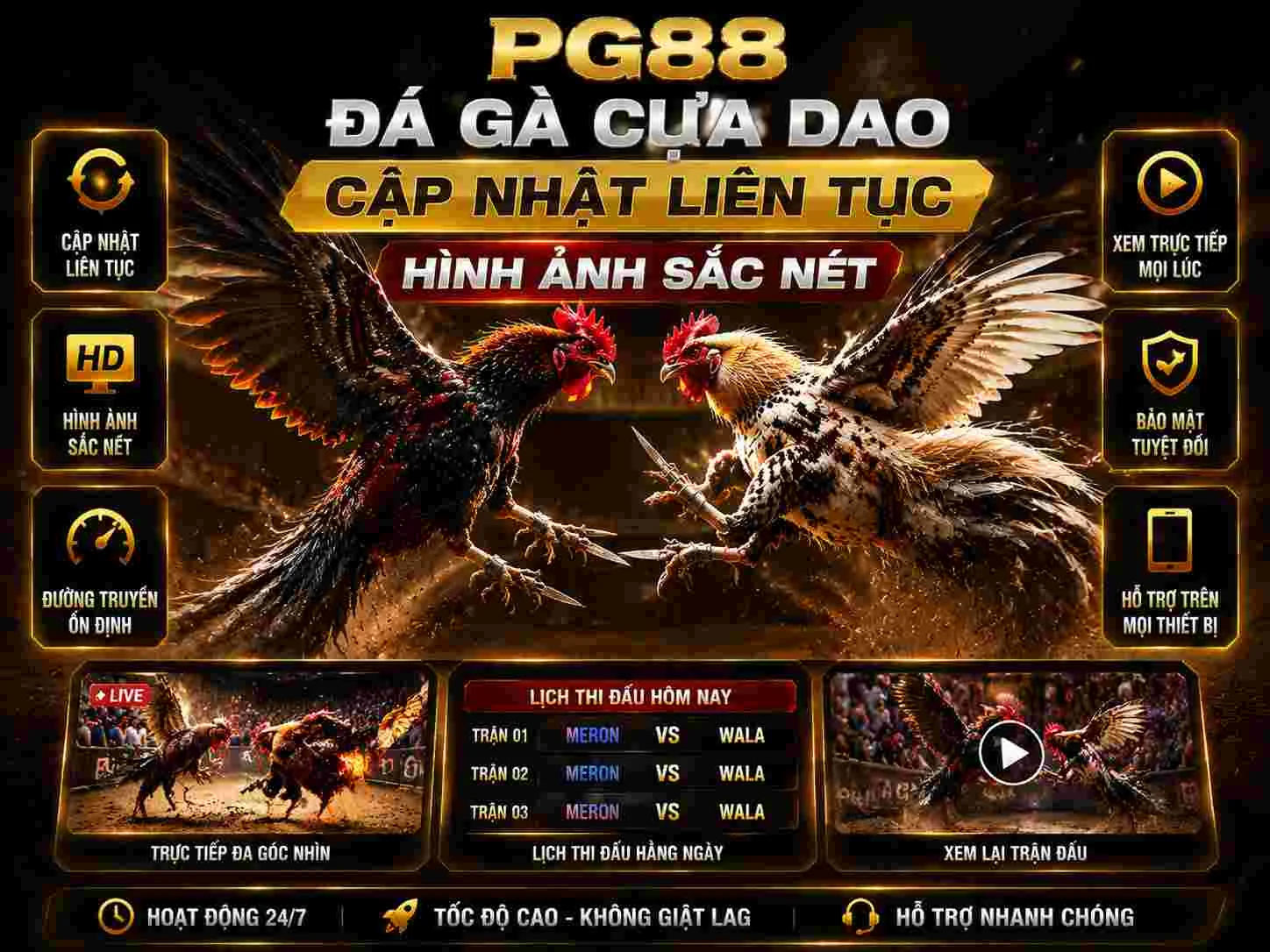 Đá gà cựa dao hình ảnh chân thực sắc nét, cập nhật liên tục Đá gà cựa dao hình ảnh chân thực sắc nét, cập nhật liên tục
