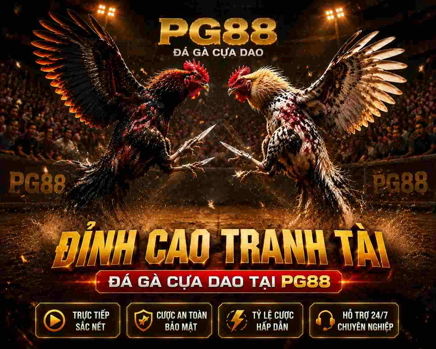 Đá gà cựa dao PG88 mang lại cảm giác kịch tính Đá gà cựa dao PG88 mang lại cảm giác kịch tính